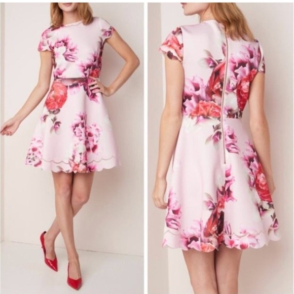 Ted Baker London Seena Splendour Mini Short Floral Pink Dress, Size 2 (US 6) - Picture 1 of 12